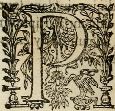 An illustration from Rerum medicarum Novae Hispaniae thesaurus, seu, Plantarum animalium mineralium Mexicanorum historia, 1651, leaf 81