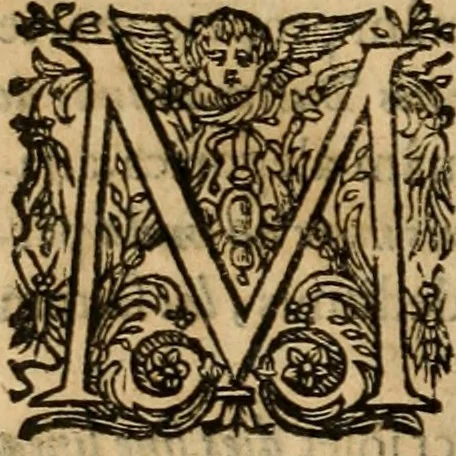 An illustration from Rerum medicarum Novae Hispaniae thesaurus, seu, Plantarum animalium mineralium Mexicanorum historia, 1651, leaf 821