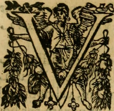 An illustration from Rerum medicarum Novae Hispaniae thesaurus, seu, Plantarum animalium mineralium Mexicanorum historia, 1651, leaf 822