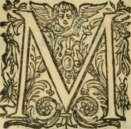 An illustration from Rerum medicarum Novae Hispaniae thesaurus, seu, Plantarum animalium mineralium Mexicanorum historia, 1651, leaf 890