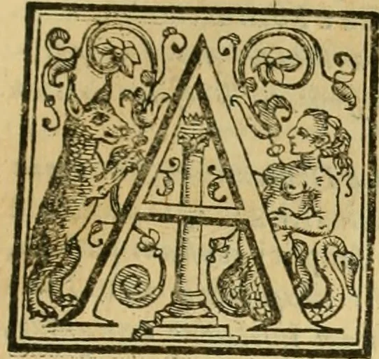 An illustration from Rerum medicarum Novae Hispaniae thesaurus, seu, Plantarum animalium mineralium Mexicanorum historia, 1651, leaf 894