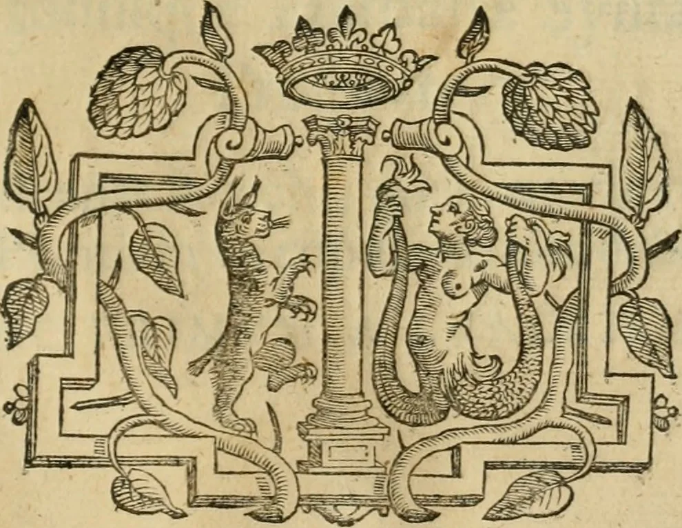 An illustration from Rerum medicarum Novae Hispaniae thesaurus, seu, Plantarum animalium mineralium Mexicanorum historia, 1651, leaf 946