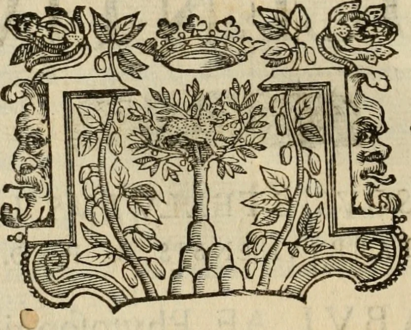 An illustration from Rerum medicarum Novae Hispaniae thesaurus, seu, Plantarum animalium mineralium Mexicanorum historia, 1651, leaf 951