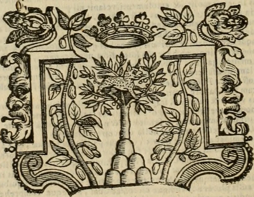 An illustration from Rerum medicarum Novae Hispaniae thesaurus, seu, Plantarum animalium mineralium Mexicanorum historia, 1651, leaf 979