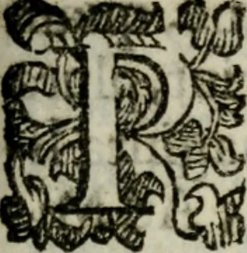 An illustration from Rerum patriæ, 1625, leaf 152