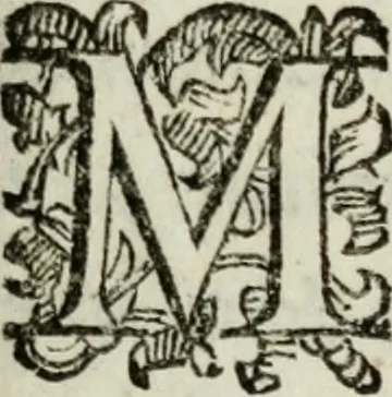 An illustration from Rerum patriæ, 1625, leaf 212