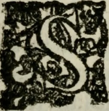An illustration from Rerum patriæ, 1625, leaf 214