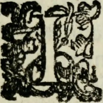 An illustration from Rerum patriæ, 1625, leaf 24