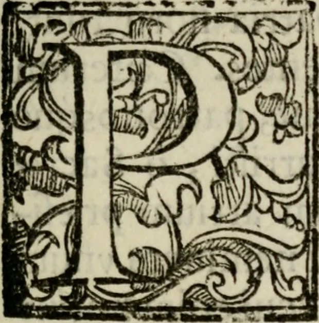 An illustration from Rerum patriæ, 1625, leaf 8