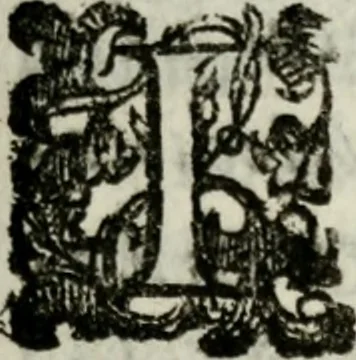 An illustration from Rerum patriæ, 1625, leaf 94