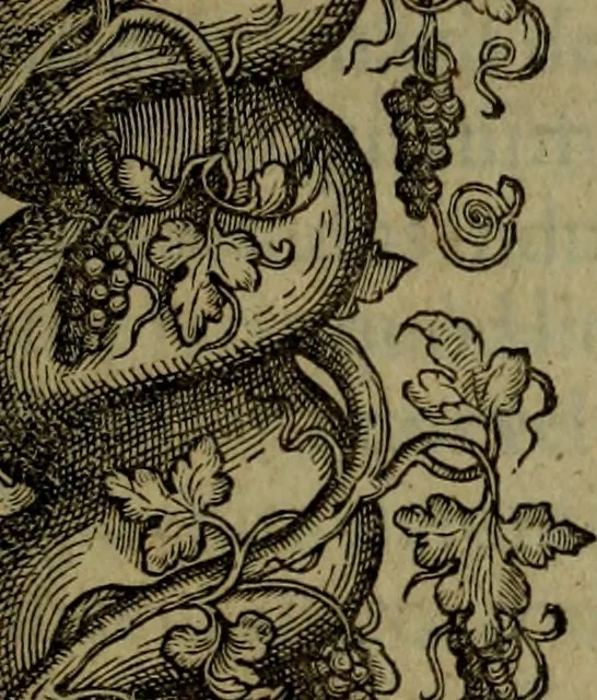 An illustration from Rervm anglicarvm scriptores post Bedam praecipvi, 1596, leaf 10