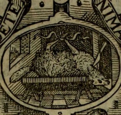 An illustration from Rervm anglicarvm scriptores post Bedam praecipvi, 1596, leaf 10