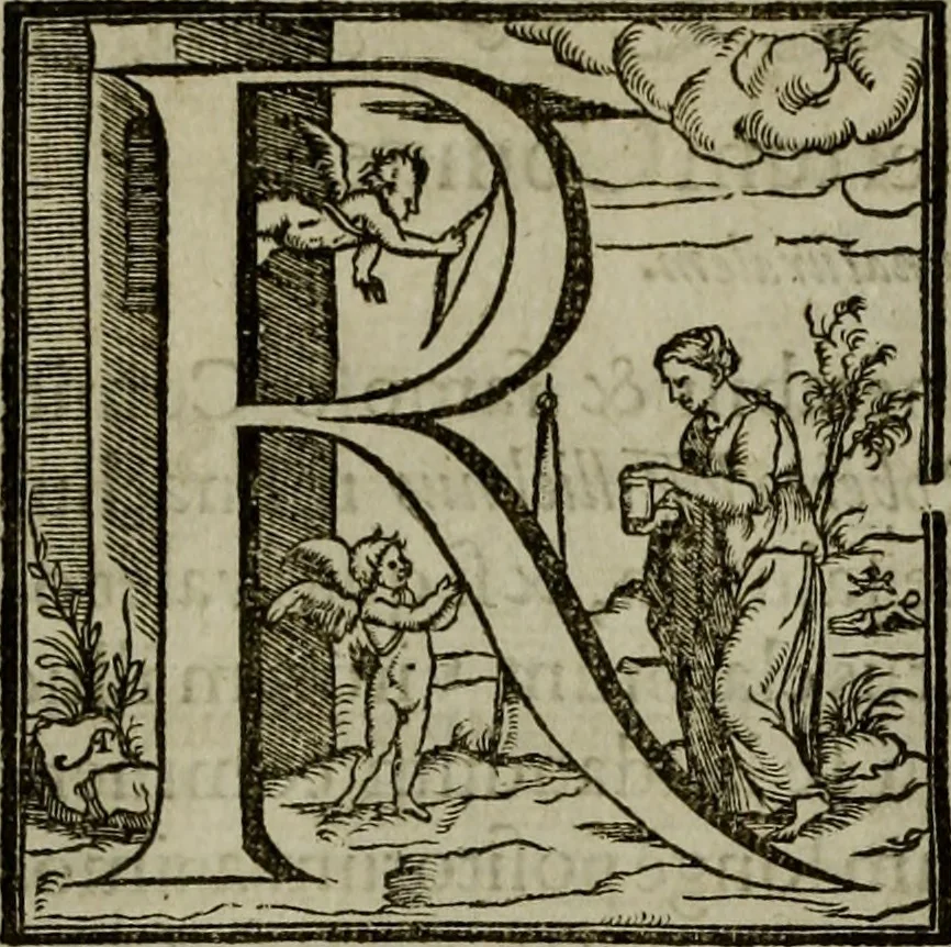 An illustration from Rervm anglicarvm scriptores post Bedam praecipvi, 1596, leaf 13