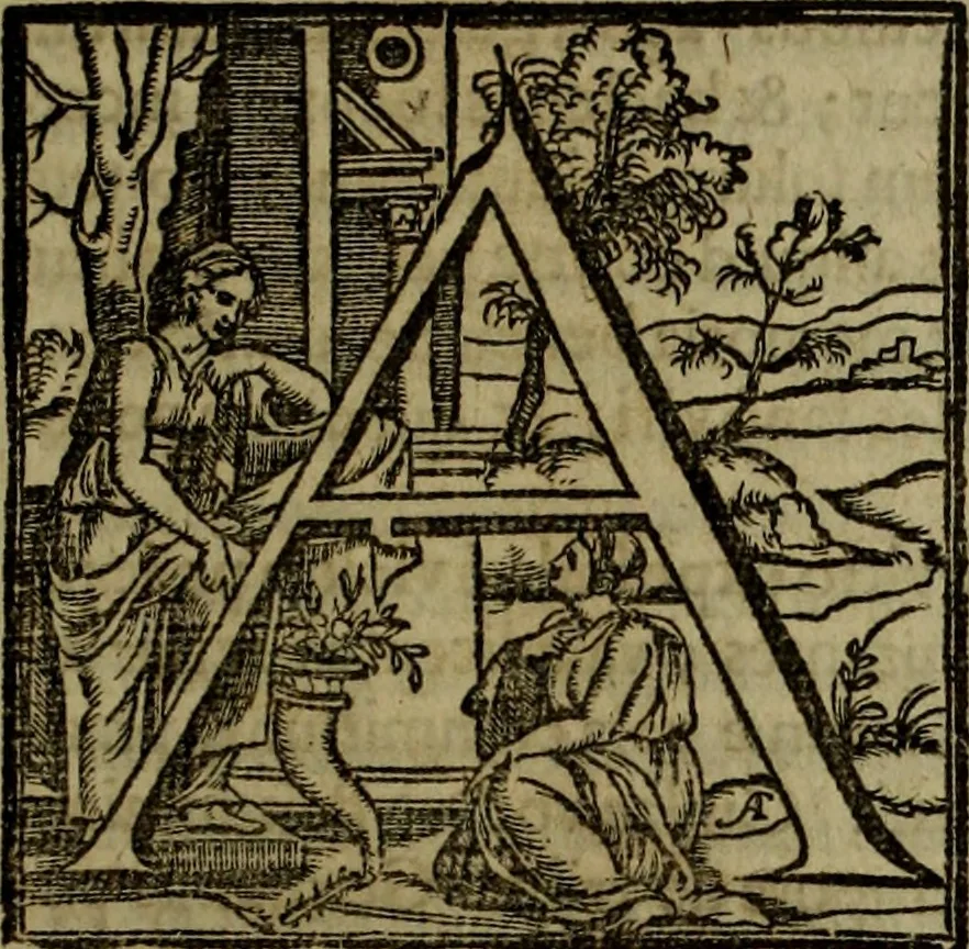 An illustration from Rervm anglicarvm scriptores post Bedam praecipvi, 1596, leaf 14