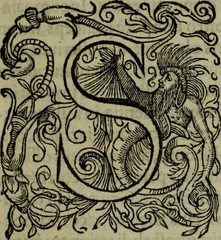 An illustration from Rervm anglicarvm scriptores post Bedam praecipvi, 1596, leaf 142
