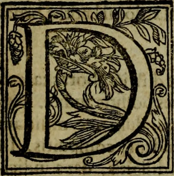An illustration from Rervm anglicarvm scriptores post Bedam praecipvi, 1596, leaf 205