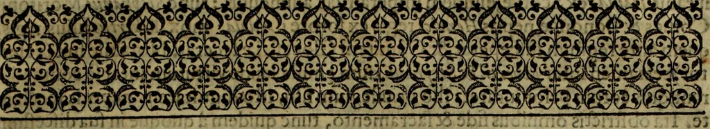An illustration from Rervm anglicarvm scriptores post Bedam praecipvi, 1596, leaf 206