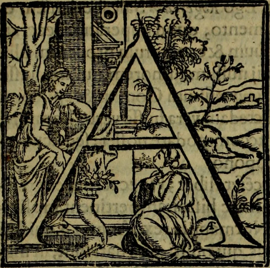 An illustration from Rervm anglicarvm scriptores post Bedam praecipvi, 1596, leaf 206