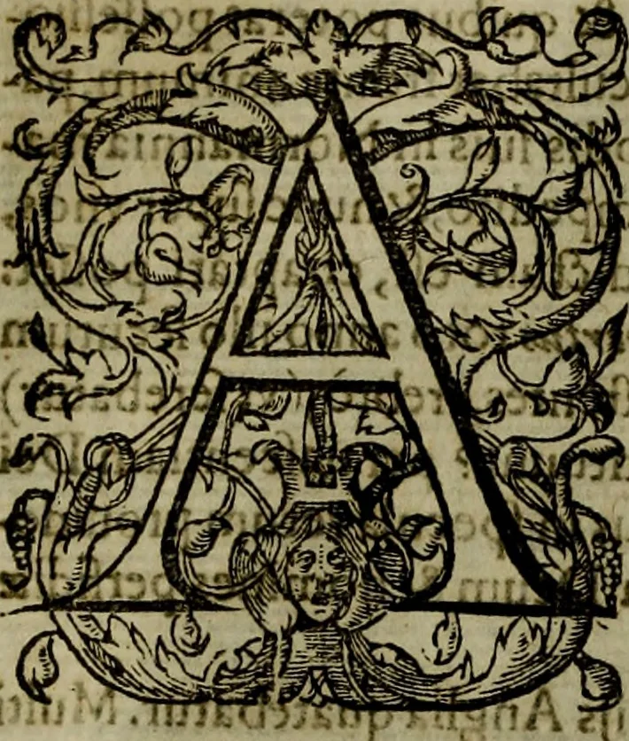 An illustration from Rervm anglicarvm scriptores post Bedam praecipvi, 1596, leaf 213