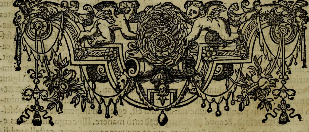 An illustration from Rervm anglicarvm scriptores post Bedam praecipvi, 1596, leaf 229