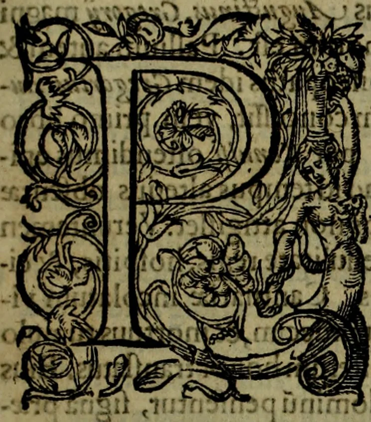 An illustration from Rervm anglicarvm scriptores post Bedam praecipvi, 1596, leaf 230