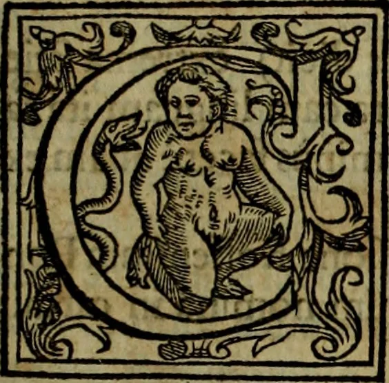 An illustration from Rervm anglicarvm scriptores post Bedam praecipvi, 1596, leaf 272