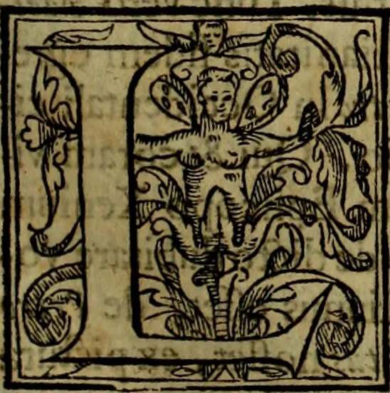 An illustration from Rervm anglicarvm scriptores post Bedam praecipvi, 1596, leaf 274