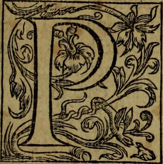 An illustration from Rervm anglicarvm scriptores post Bedam praecipvi, 1596, leaf 278