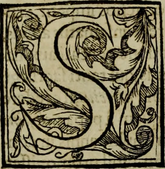 An illustration from Rervm anglicarvm scriptores post Bedam praecipvi, 1596, leaf 297