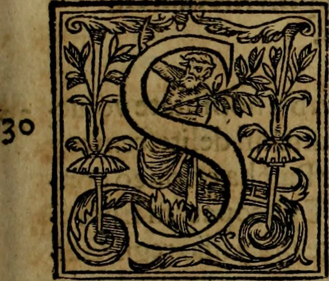 An illustration from Rervm anglicarvm scriptores post Bedam praecipvi, 1596, leaf 300