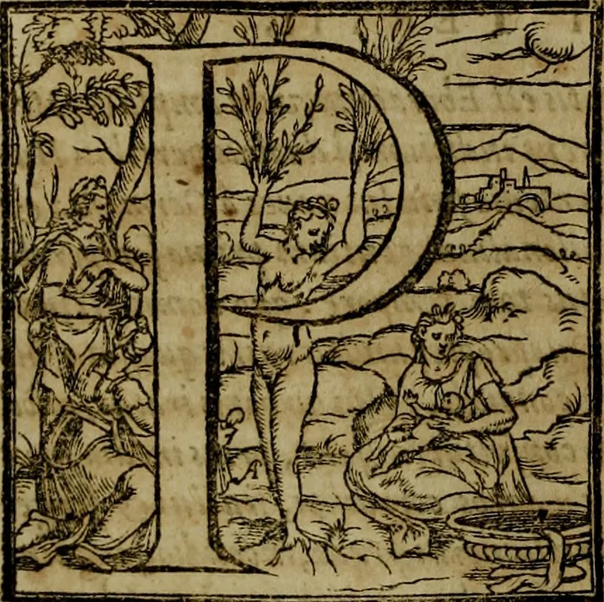 An illustration from Rervm anglicarvm scriptores post Bedam praecipvi, 1596, leaf 301
