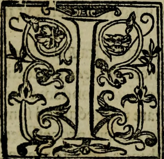 An illustration from Rervm anglicarvm scriptores post Bedam praecipvi, 1596, leaf 323