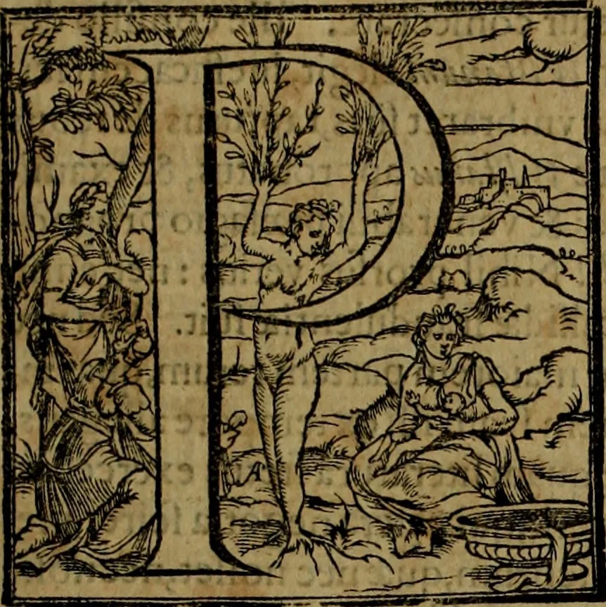 An illustration from Rervm anglicarvm scriptores post Bedam praecipvi, 1596, leaf 324