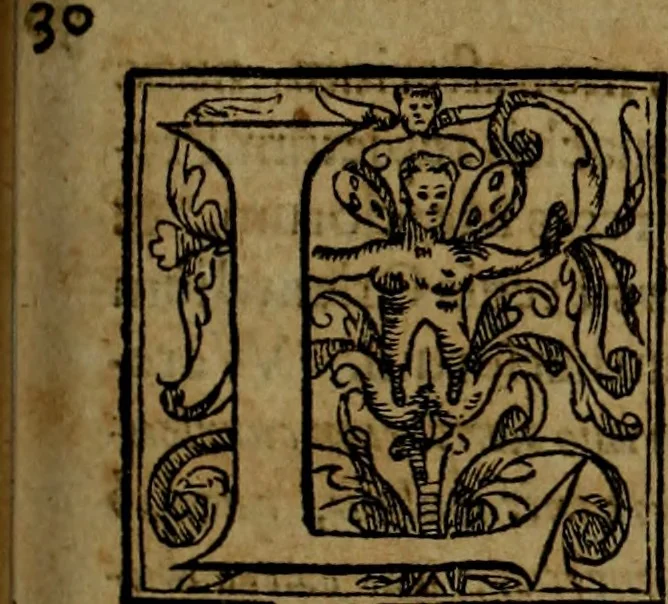 An illustration from Rervm anglicarvm scriptores post Bedam praecipvi, 1596, leaf 334