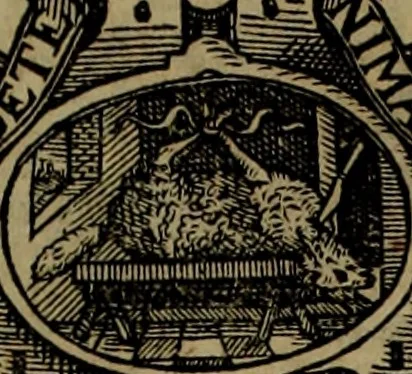 An illustration from Rervm anglicarvm scriptores post Bedam praecipvi, 1596, leaf 344