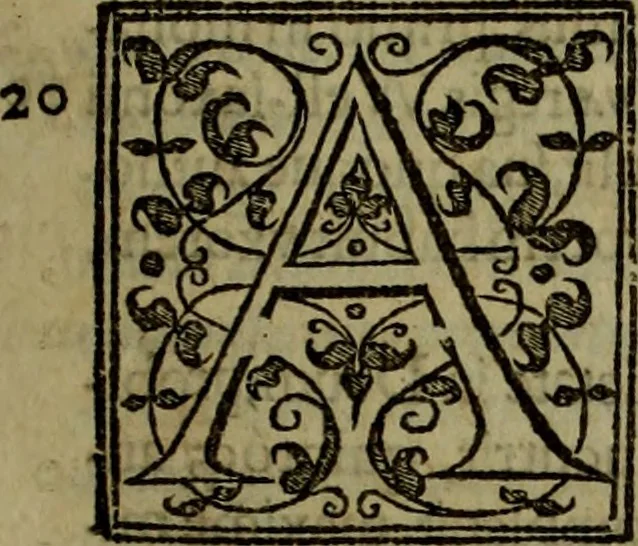 An illustration from Rervm anglicarvm scriptores post Bedam praecipvi, 1596, leaf 36