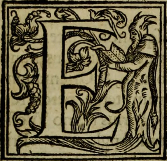 An illustration from Rervm anglicarvm scriptores post Bedam praecipvi, 1596, leaf 45