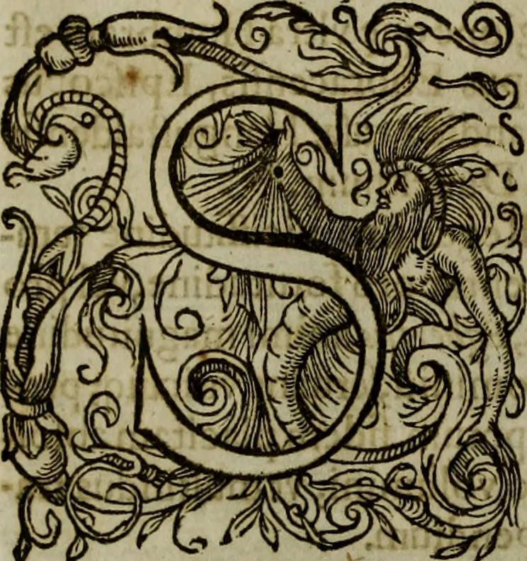 An illustration from Rervm anglicarvm scriptores post Bedam praecipvi, 1596, leaf 47