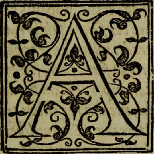 An illustration from Rervm anglicarvm scriptores post Bedam praecipvi, 1596, leaf 53