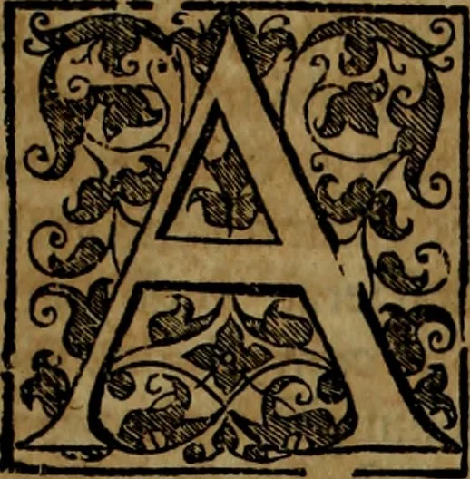 An illustration from Rervm anglicarvm scriptores post Bedam praecipvi, 1596, leaf 556