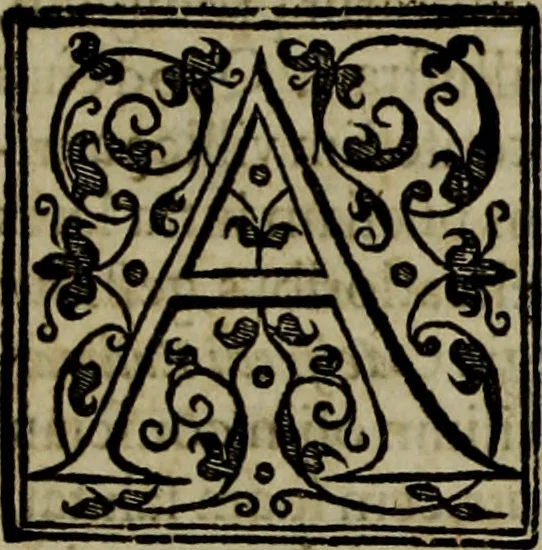 An illustration from Rervm anglicarvm scriptores post Bedam praecipvi, 1596, leaf 67