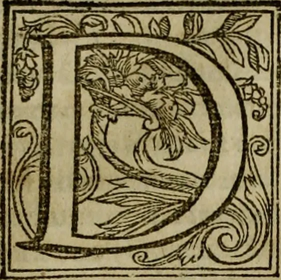 An illustration from Rervm anglicarvm scriptores post Bedam praecipvi, 1596, leaf 905
