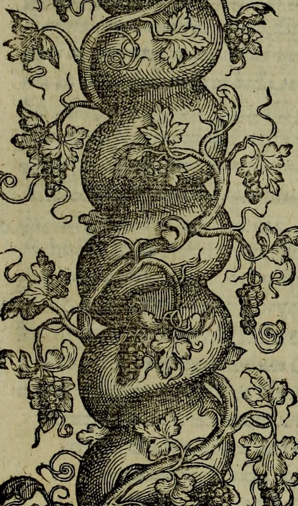 An illustration from Rervm anglicarvm scriptores post Bedam praecipvi, 1596, leaf 948