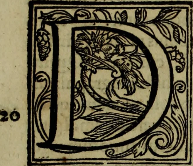 An illustration from Rervm anglicarvm scriptores post Bedam praecipvi, 1596, leaf 950