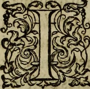 An illustration from Rervm anglicarvm scriptores post Bedam praecipvi, 1596, leaf 955