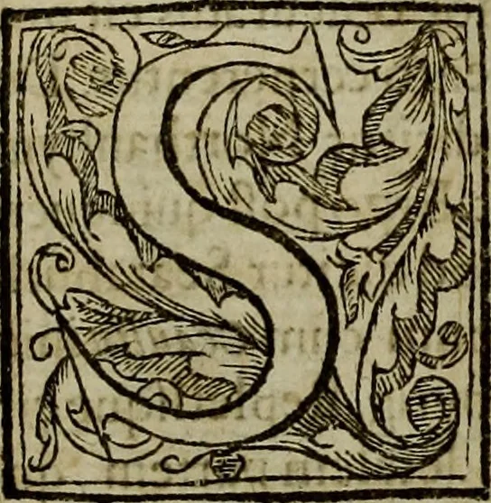 An illustration from Rervm anglicarvm scriptores post Bedam praecipvi, 1596, leaf 955