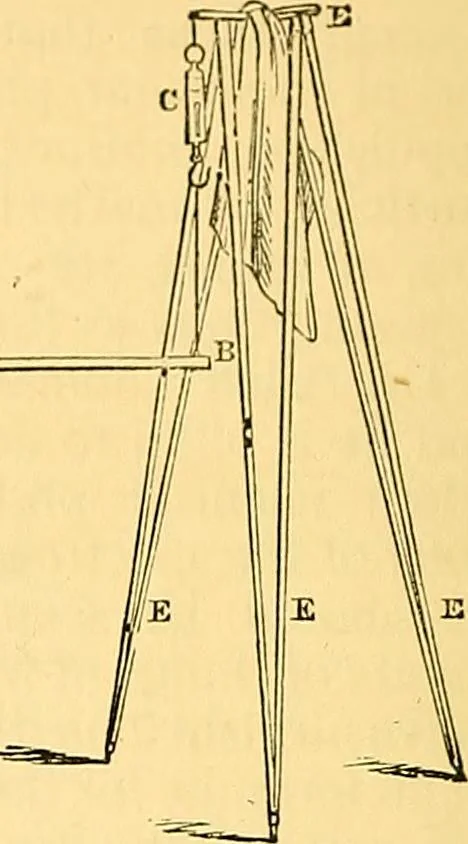 An illustration from Researches in the phenomena of spiritualism, 1874, leaf 37