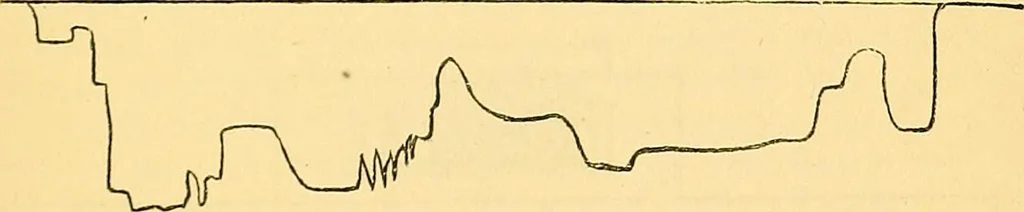 An illustration from Researches in the phenomena of spiritualism, 1874, leaf 40