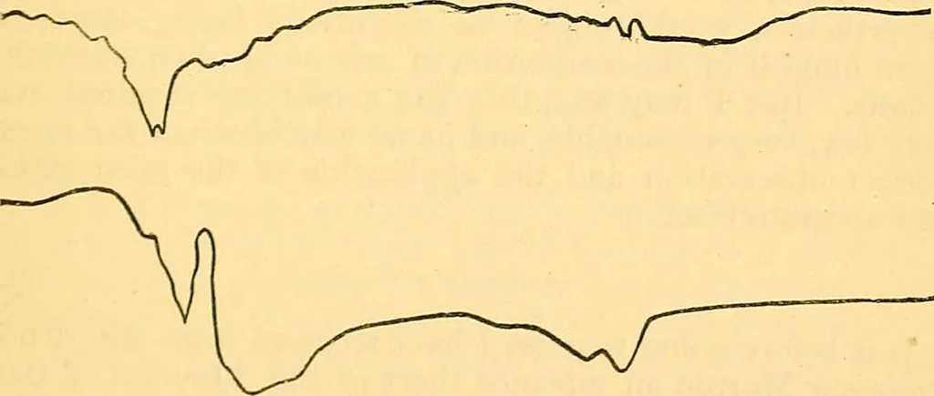An illustration from Researches in the phenomena of spiritualism, 1874, leaf 44