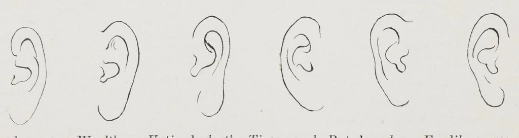 An illustration from Researches into Chinese superstitions, by Henry Doré, S.J. ;, 1926, leaf 50